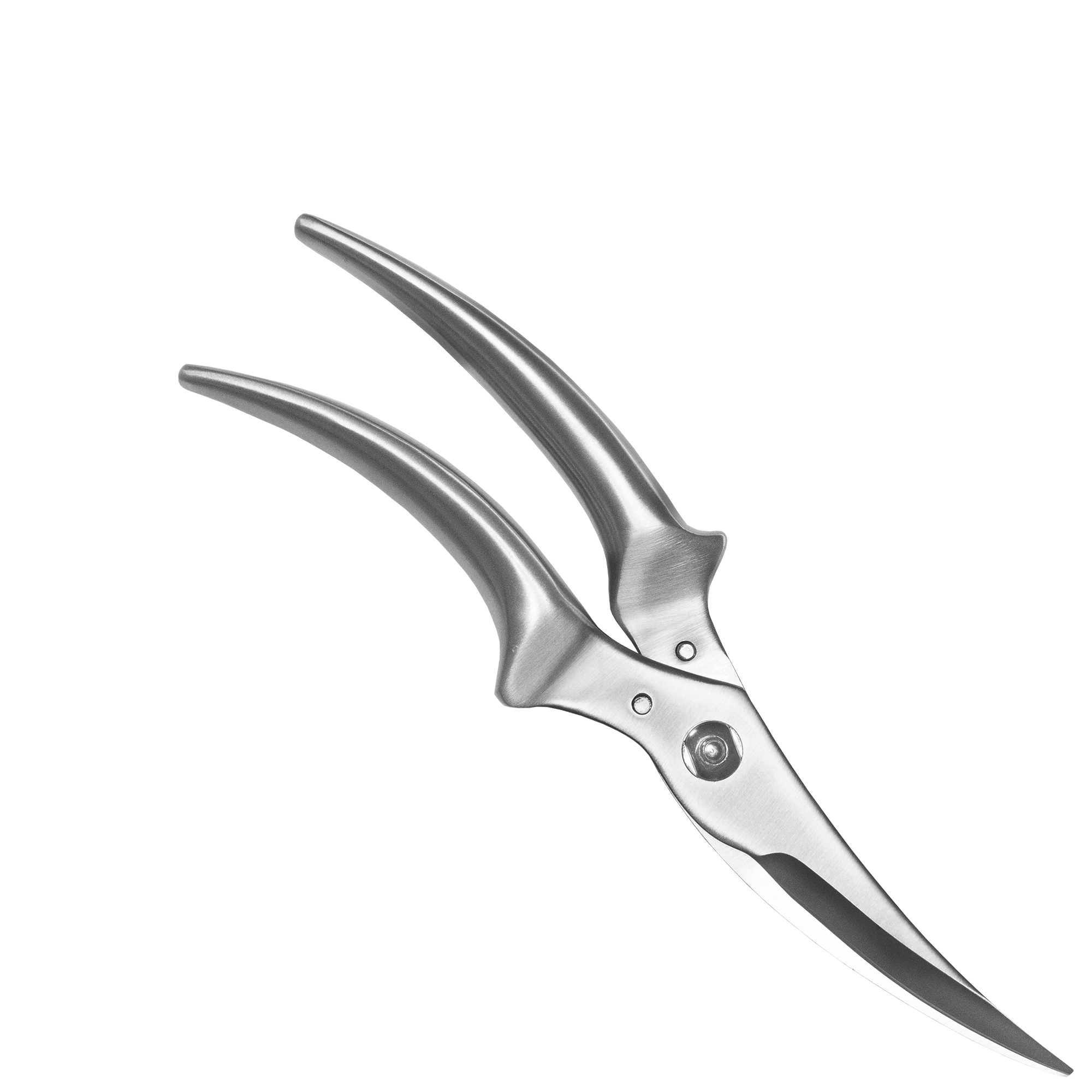 Poultry shears - POLLO - with gift box | Culinaris